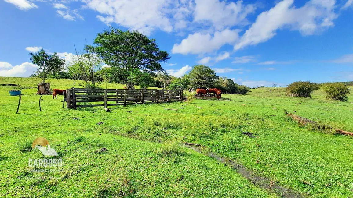 Foto 4 de Sítio / Rancho à venda, 90000m2 em Viamao - RS
