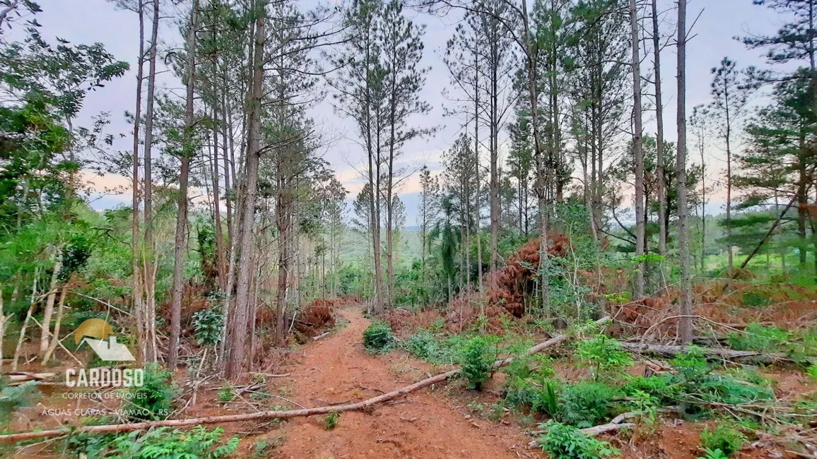 Foto 1 de Sítio / Rancho à venda, 36000m2 em Viamao - RS