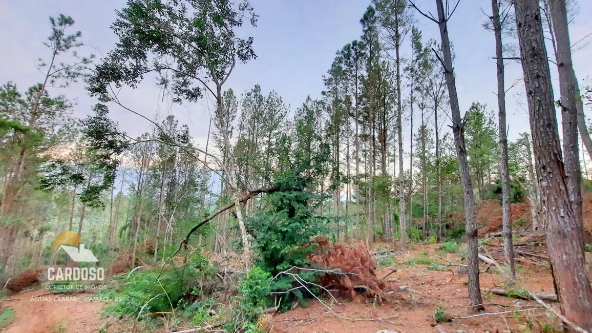 Foto 3 de Sítio / Rancho à venda, 36000m2 em Viamao - RS