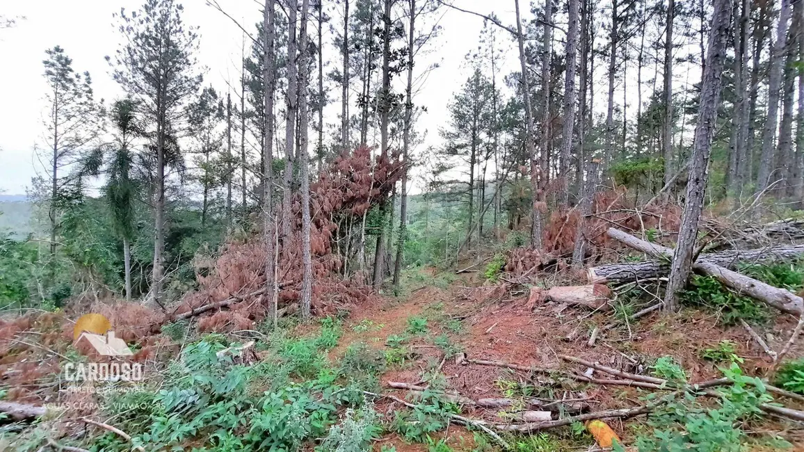 Foto 6 de Sítio / Rancho à venda, 36000m2 em Viamao - RS
