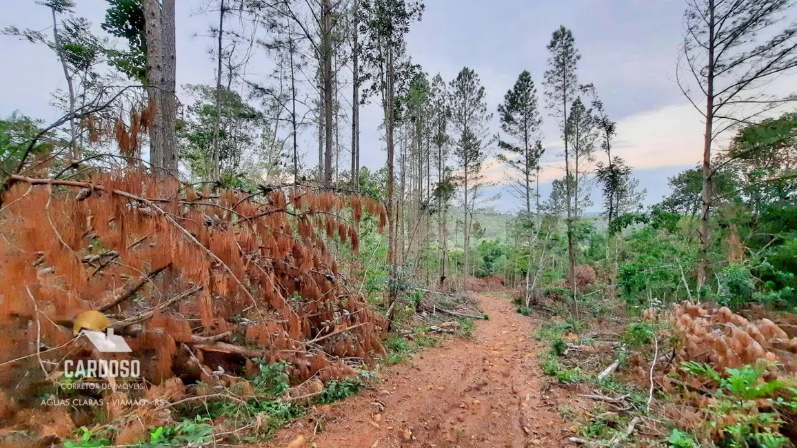 Foto 2 de Sítio / Rancho à venda, 36000m2 em Viamao - RS