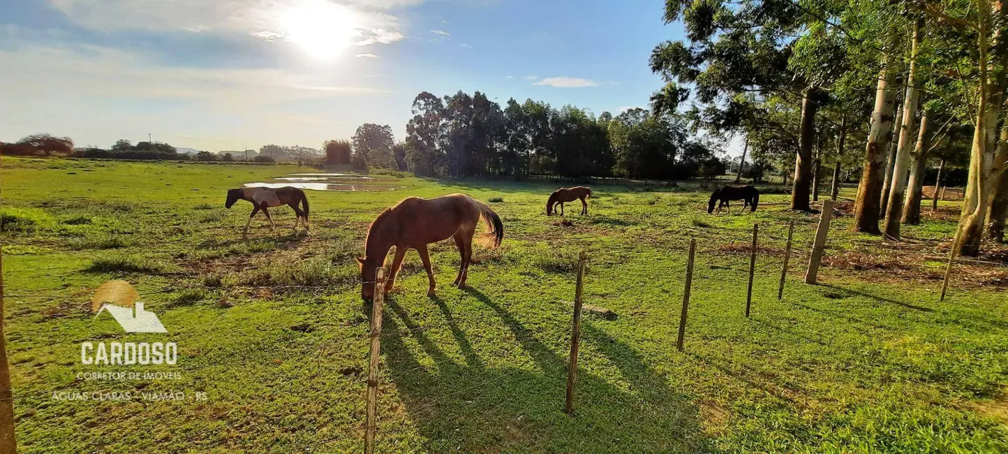 Foto 8 de Sítio / Rancho à venda, 4200m2 em Viamao - RS