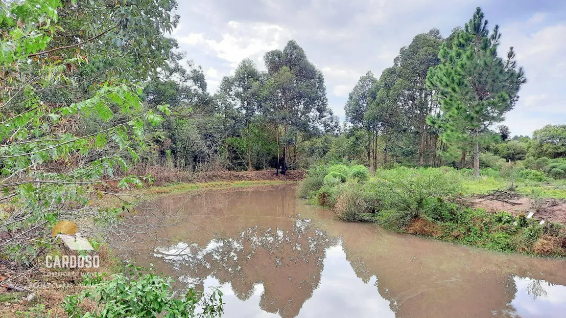Foto 3 de Sítio / Rancho à venda, 20000m2 em Viamao - RS