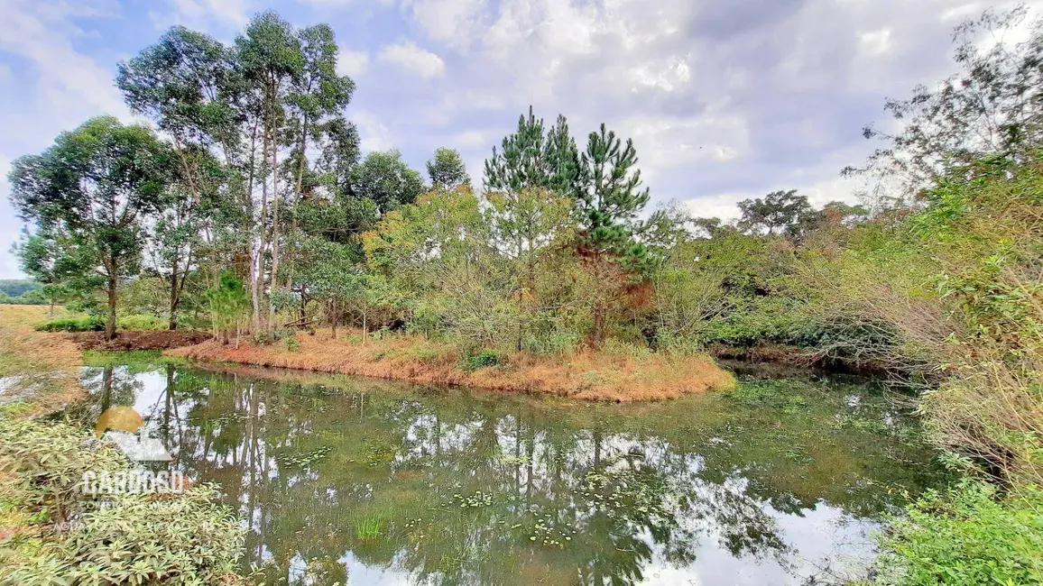 Foto 1 de Sítio / Rancho à venda, 20000m2 em Viamao - RS