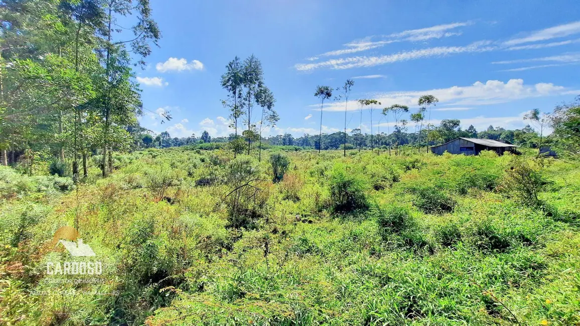 Sítio / Rancho à venda, 25000m2 em Viamao - RS - imagem 7 Foto 7 de Sítio / Rancho à venda, 25000m2 em Viamao - RS