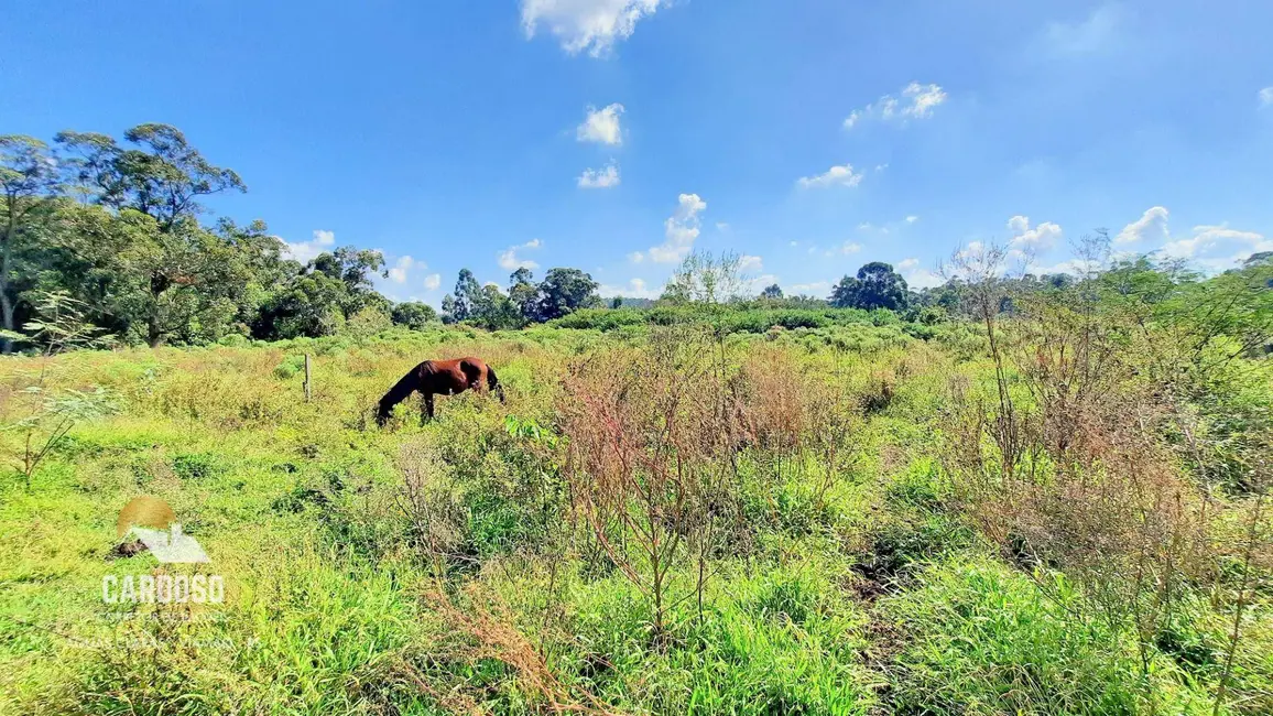 Sítio / Rancho à venda, 25000m2 em Viamao - RS - imagem 8 Foto 8 de Sítio / Rancho à venda, 25000m2 em Viamao - RS