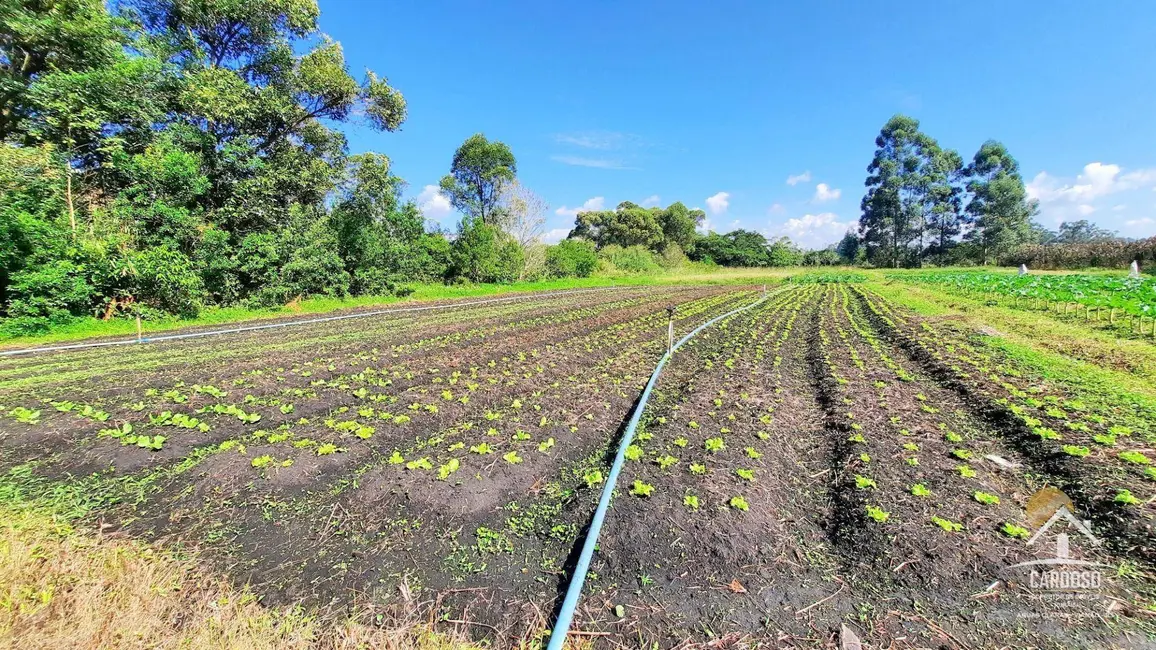 Foto 2 de Sítio / Rancho à venda, 25000m2 em Viamao - RS