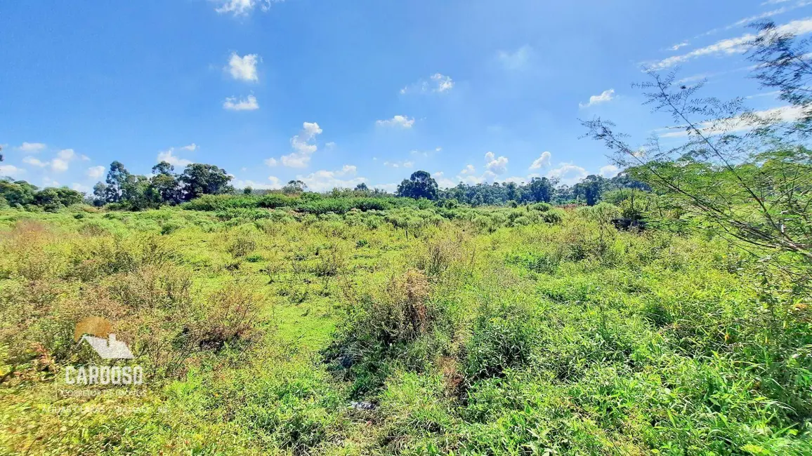 Sítio / Rancho à venda, 25000m2 em Viamao - RS - imagem 9 Foto 9 de Sítio / Rancho à venda, 25000m2 em Viamao - RS