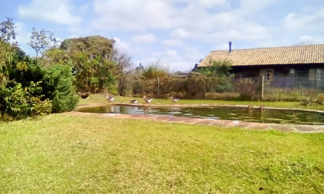 Foto 3 de Sítio / Rancho à venda, 30000m2 em Viamao - RS