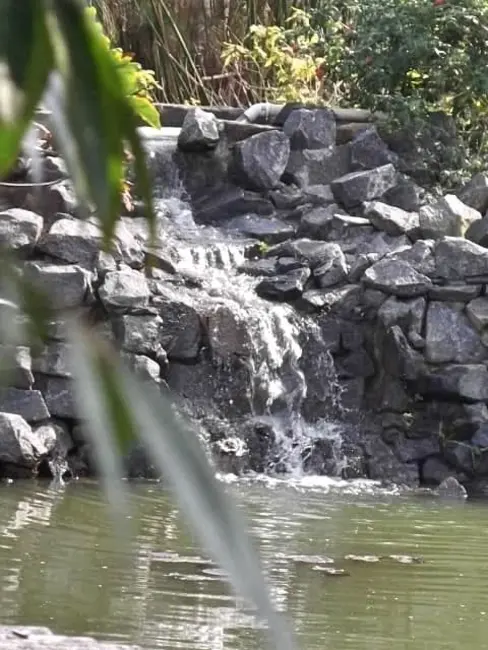 Foto 9 de Sítio / Rancho à venda, 30000m2 em Viamao - RS