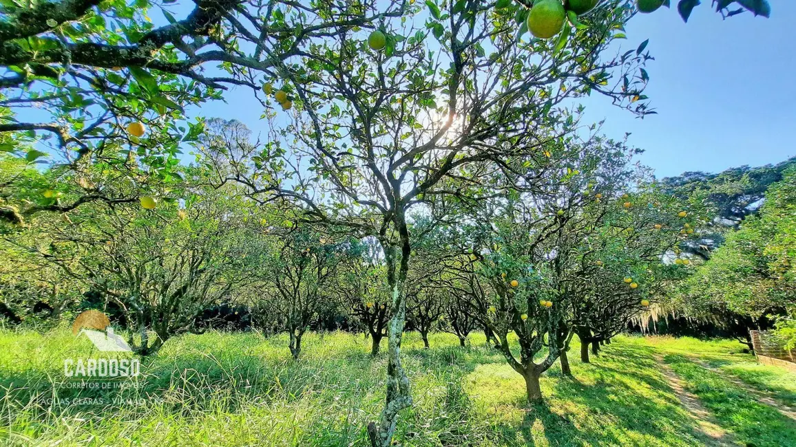 Foto 2 de Sítio / Rancho à venda, 100000m2 em Viamao - RS