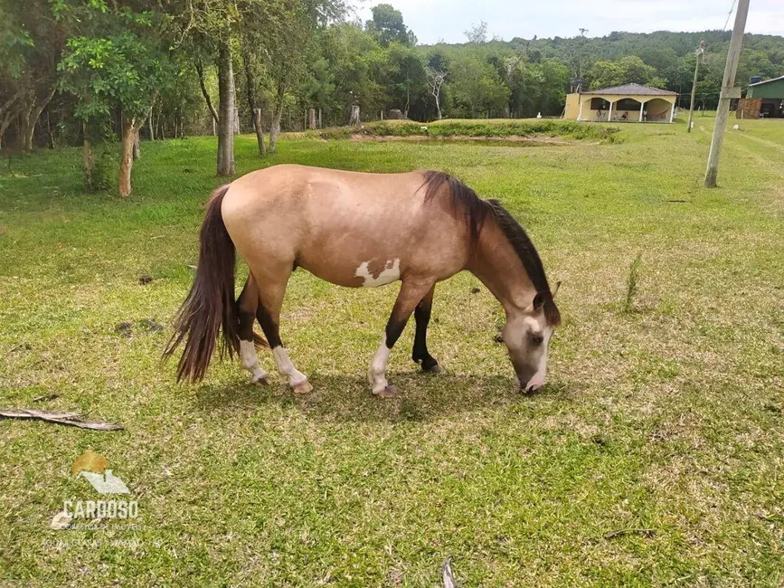 Foto 1 de Sítio / Rancho à venda, 10000m2 em Viamao - RS