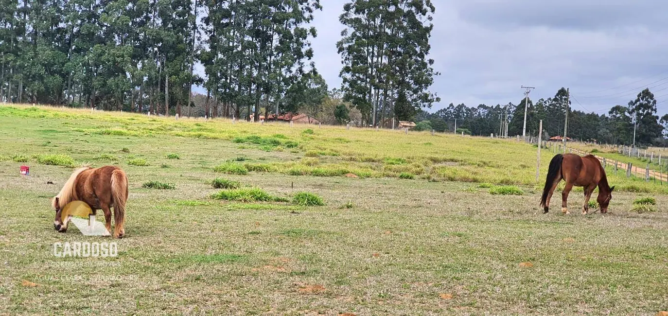 Foto 5 de Sítio / Rancho à venda, 40000m2 em Viamao - RS