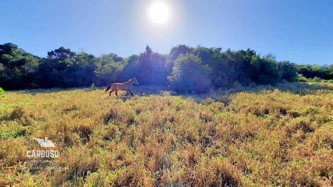 Foto 7 de Sítio / Rancho à venda, 98000m2 em Viamao - RS