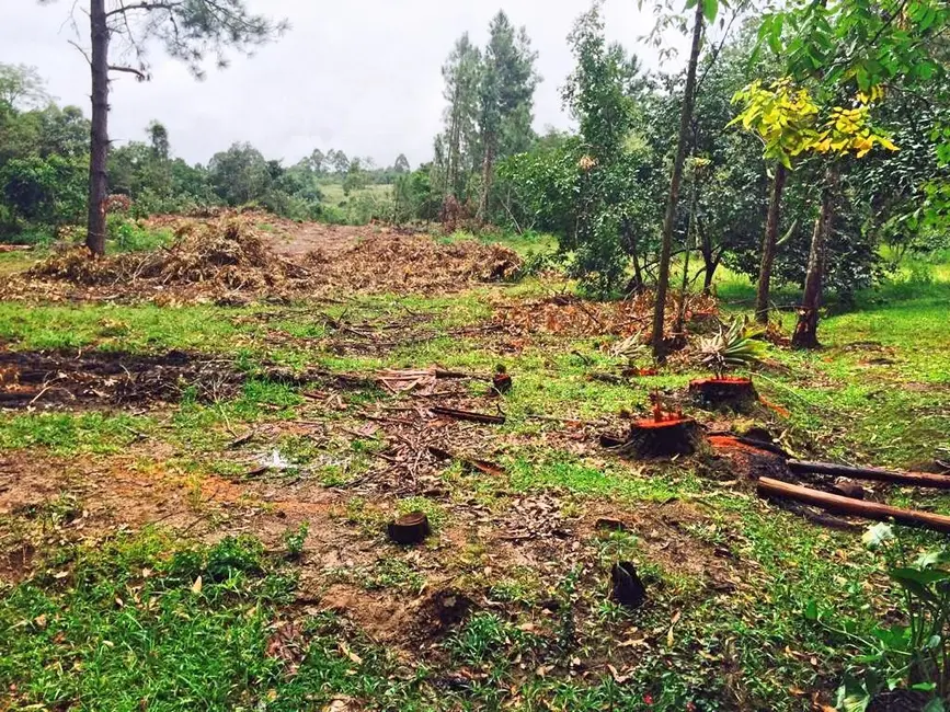 Foto 7 de Sítio / Rancho à venda, 800000m2 em Lami, Porto Alegre - RS