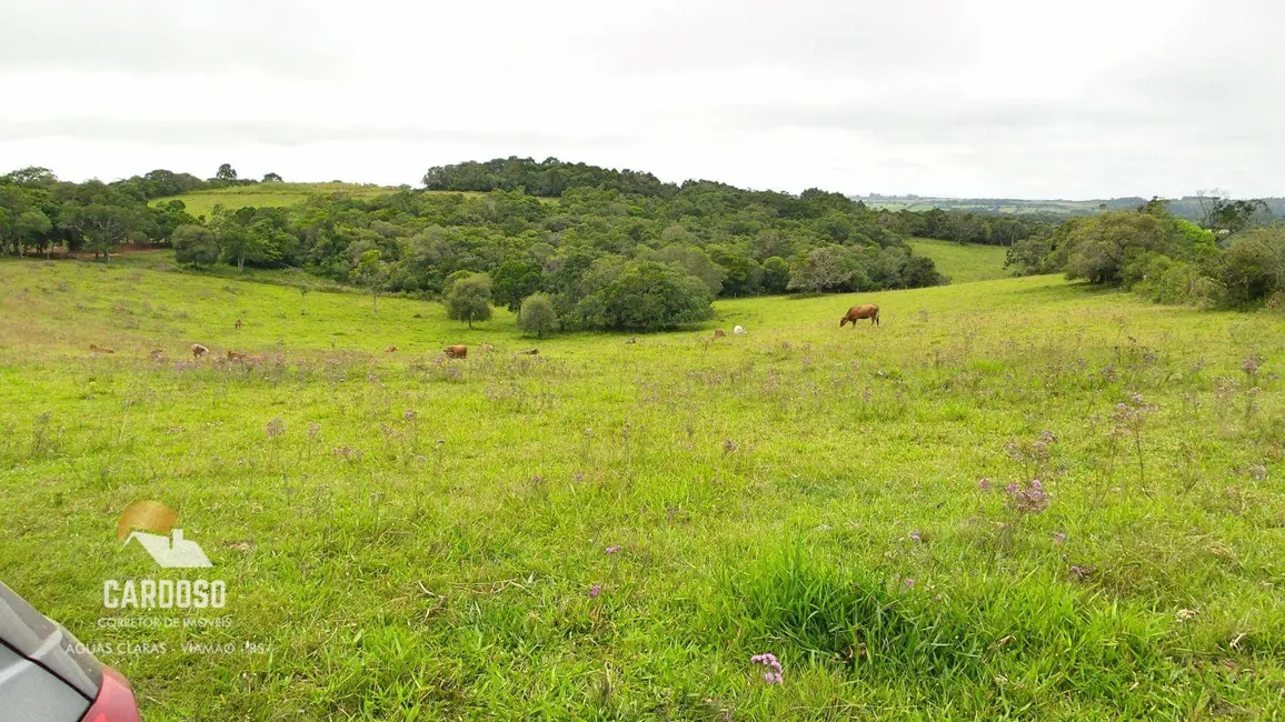Sítio / Rancho com 4 quartos à venda, 218000m2 em Viamao - RS - imagem 9 Foto 9 de Sítio / Rancho com 4 quartos à venda, 218000m2 em Viamao - RS