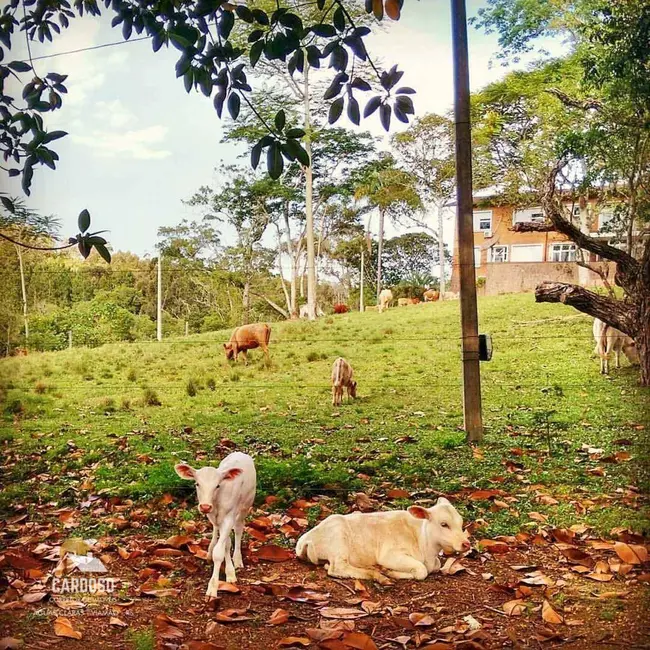 Fazenda / Haras à venda, 3700000m2 em Centro, Viamao - RS - imagem 4 Foto 4 de Fazenda / Haras à venda, 3700000m2 em Centro, Viamao - RS