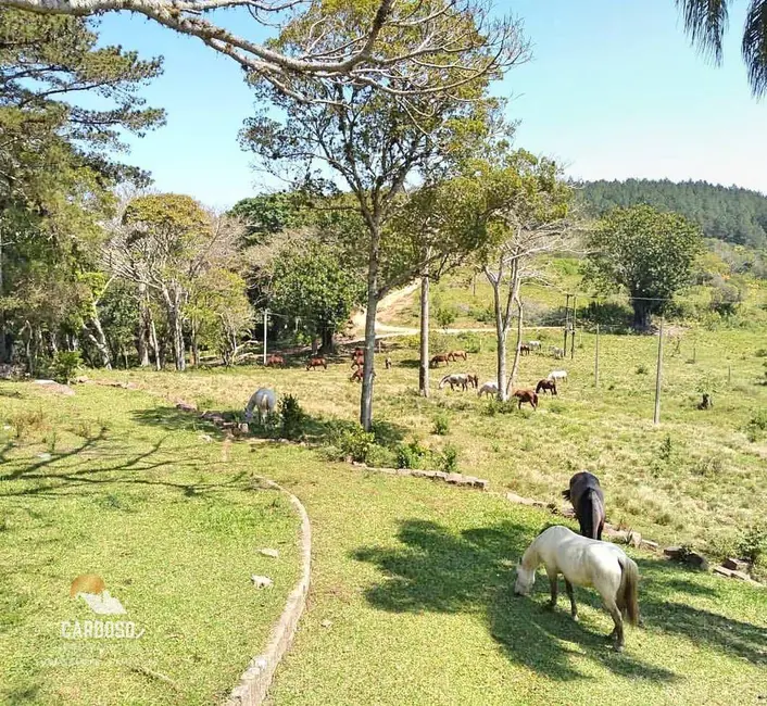 Fazenda / Haras à venda, 3700000m2 em Centro, Viamao - RS - imagem 7 Foto 7 de Fazenda / Haras à venda, 3700000m2 em Centro, Viamao - RS