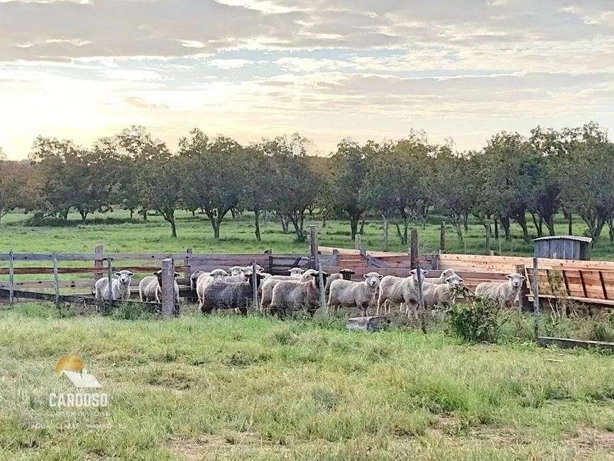 Fazenda / Haras à venda, 3700000m2 em Centro, Viamao - RS - imagem 9 Foto 9 de Fazenda / Haras à venda, 3700000m2 em Centro, Viamao - RS