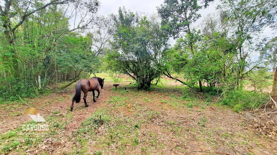Foto 5 de Sítio / Rancho à venda, 30000m2 em Viamao - RS