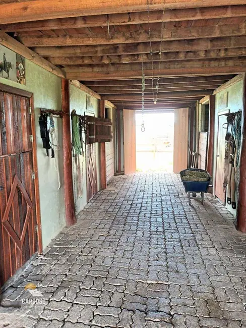 Fazenda / Haras à venda, 20000m2 em Viamao - RS - imagem 4 Foto 4 de Fazenda / Haras à venda, 20000m2 em Viamao - RS