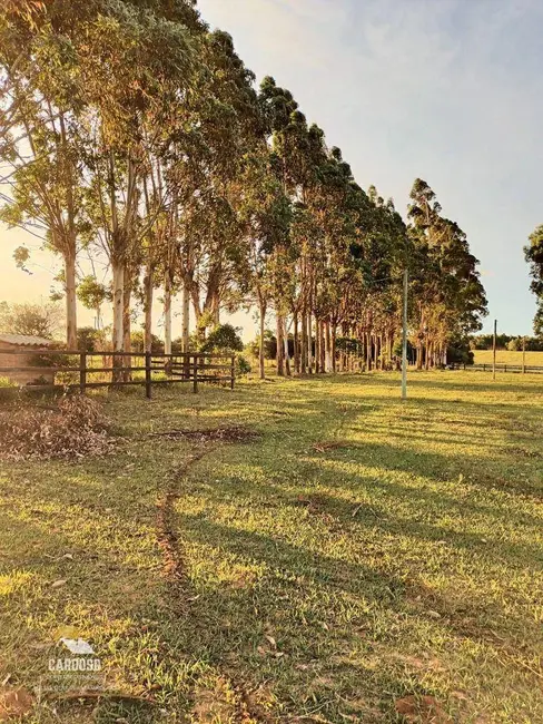 Fazenda / Haras à venda, 20000m2 em Viamao - RS - imagem 6 Foto 6 de Fazenda / Haras à venda, 20000m2 em Viamao - RS