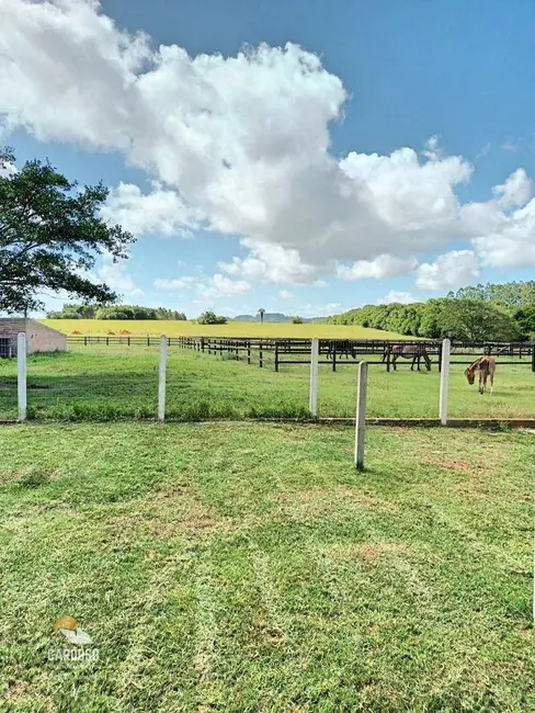 Fazenda / Haras à venda, 20000m2 em Viamao - RS - imagem 5 Foto 5 de Fazenda / Haras à venda, 20000m2 em Viamao - RS