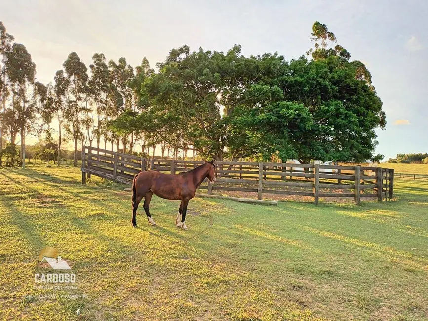 Foto 1 de Fazenda / Haras à venda, 20000m2 em Viamao - RS