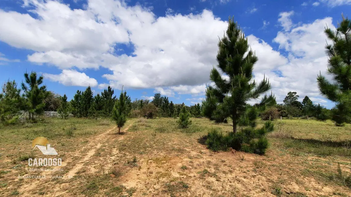 Sítio / Rancho à venda, 60000m2 em Viamao - RS - imagem 2 Foto 2 de Sítio / Rancho à venda, 60000m2 em Viamao - RS