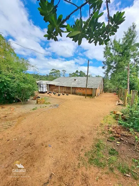Sítio / Rancho com 2 quartos à venda, 25000m2 em Lomba do Pinheiro, Viamao - RS - imagem 9 Foto 9 de Sítio / Rancho com 2 quartos à venda, 25000m2 em Lomba do Pinheiro, Viamao - RS