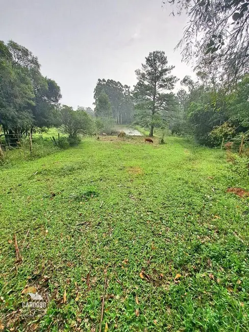 Sítio / Rancho com 2 quartos à venda, 25000m2 em Lomba do Pinheiro, Viamao - RS - imagem 3 Foto 3 de Sítio / Rancho com 2 quartos à venda, 25000m2 em Lomba do Pinheiro, Viamao - RS