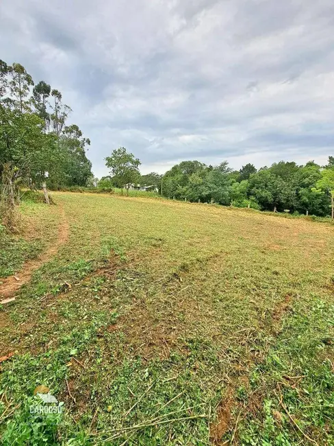 Sítio / Rancho com 2 quartos à venda, 25000m2 em Lomba do Pinheiro, Viamao - RS - imagem 6 Foto 6 de Sítio / Rancho com 2 quartos à venda, 25000m2 em Lomba do Pinheiro, Viamao - RS