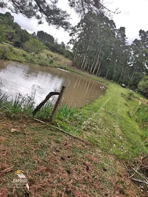 Sítio / Rancho com 2 quartos à venda, 25000m2 em Lomba do Pinheiro, Viamao - RS - imagem 5 Foto 5 de Sítio / Rancho com 2 quartos à venda, 25000m2 em Lomba do Pinheiro, Viamao - RS