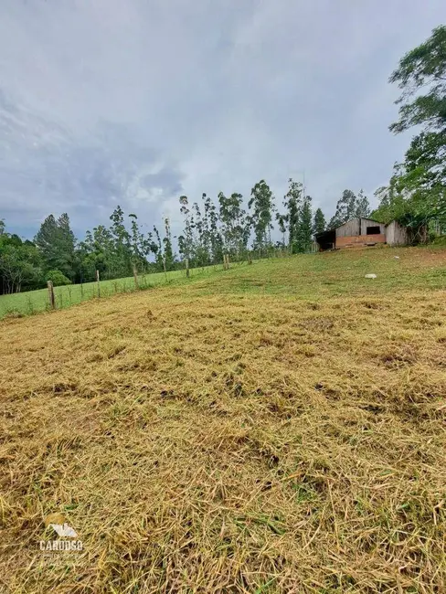 Sítio / Rancho com 2 quartos à venda, 25000m2 em Lomba do Pinheiro, Viamao - RS - imagem 8 Foto 8 de Sítio / Rancho com 2 quartos à venda, 25000m2 em Lomba do Pinheiro, Viamao - RS