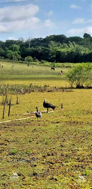 Foto 9 de Sítio / Rancho à venda, 20000m2 em Viamao - RS