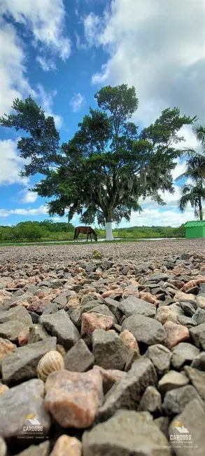 Foto 6 de Sítio / Rancho à venda, 20000m2 em Viamao - RS