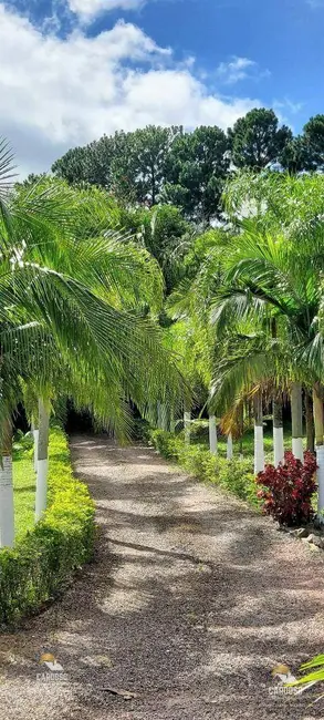 Foto 5 de Sítio / Rancho à venda, 20000m2 em Viamao - RS