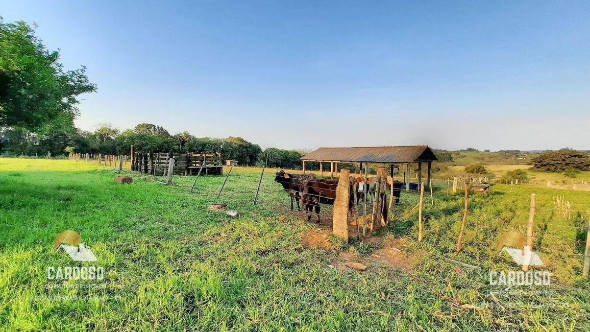 Sítio / Rancho à venda, 30000m2 em Viamao - RS - imagem 4 Foto 4 de Sítio / Rancho à venda, 30000m2 em Viamao - RS