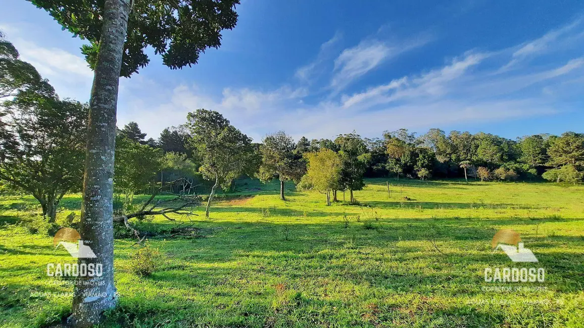 Foto 6 de Sítio / Rancho à venda, 117500m2 em Viamao - RS