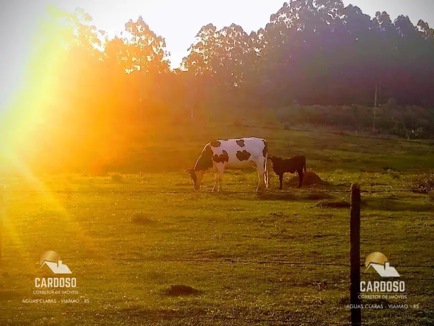 Foto 3 de Sítio / Rancho com 3 quartos à venda, 40000m2 em Viamao - RS