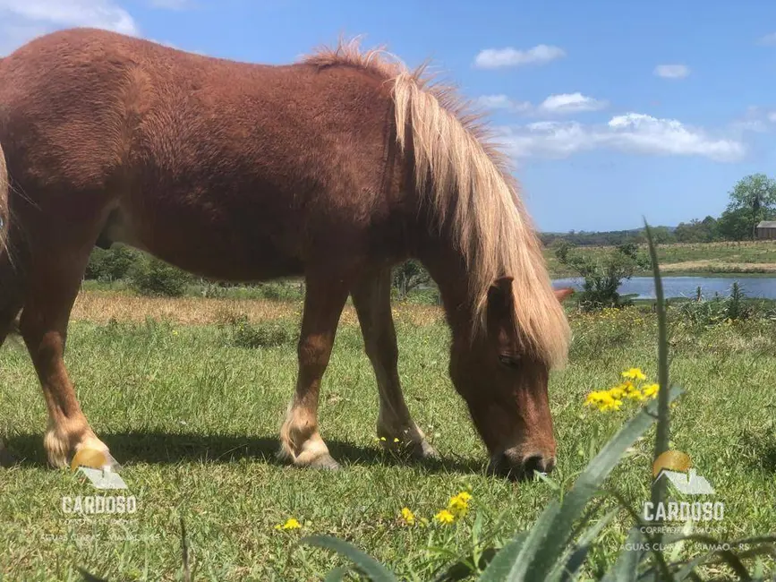 Foto 4 de Sítio / Rancho com 3 quartos à venda, 40000m2 em Viamao - RS