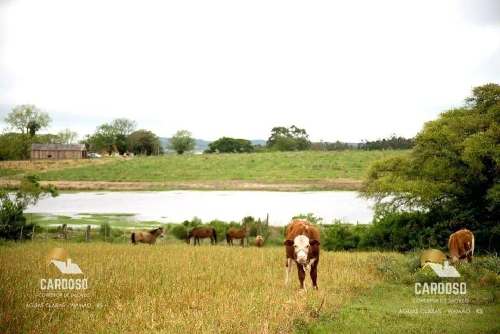 Foto 5 de Sítio / Rancho com 3 quartos à venda, 40000m2 em Viamao - RS