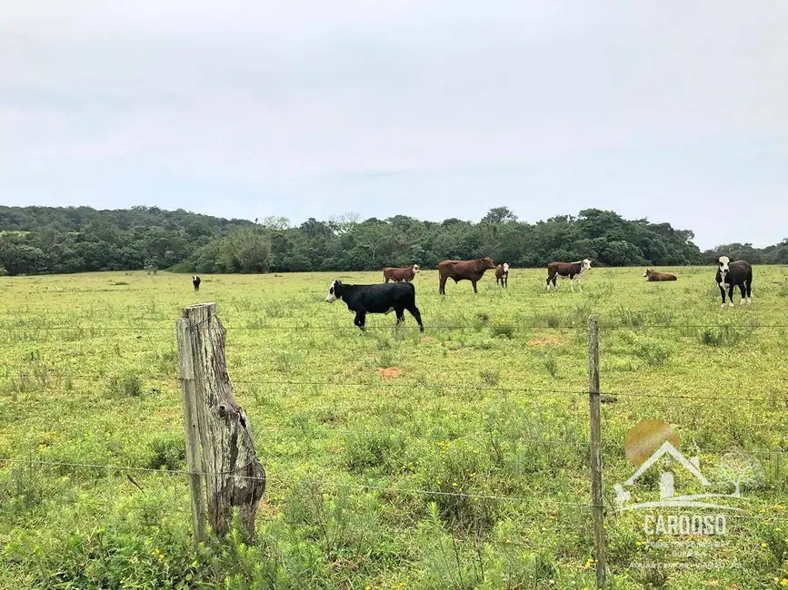 Fazenda / Haras à venda, 2620000m2 em Centro, Viamao - RS - imagem 9 Foto 9 de Fazenda / Haras à venda, 2620000m2 em Centro, Viamao - RS