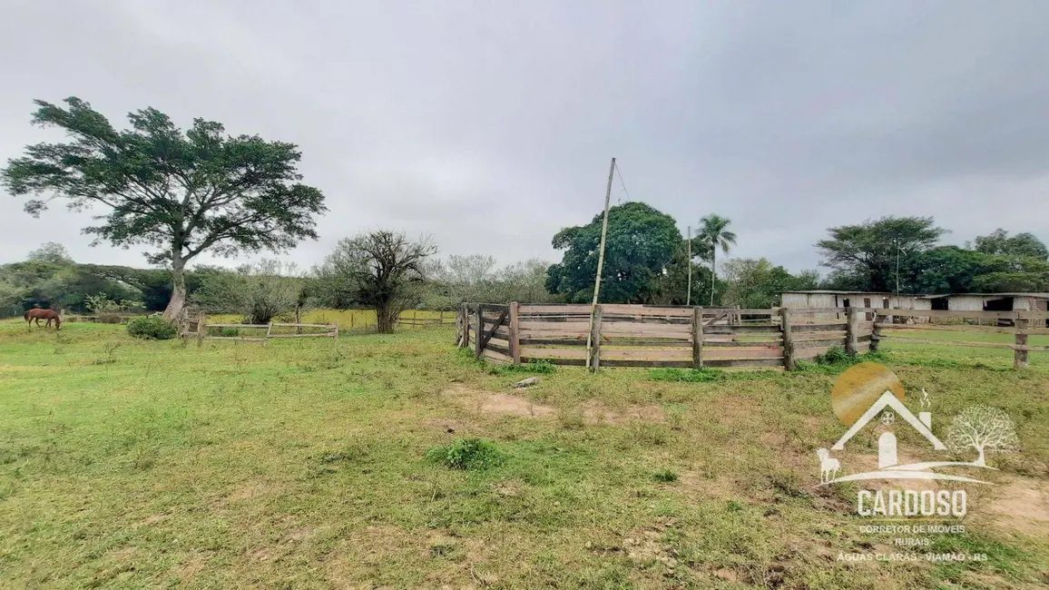 Foto 5 de Fazenda / Haras com 3 quartos à venda, 270000m2 em Lami, Porto Alegre - RS