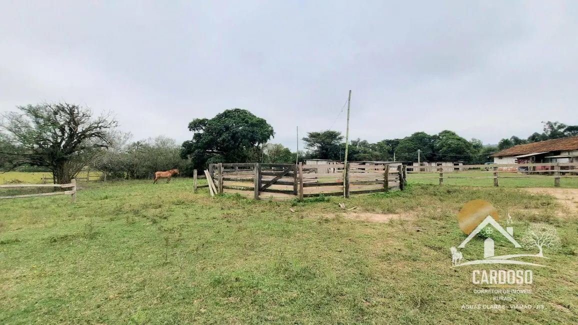 Foto 6 de Fazenda / Haras com 3 quartos à venda, 270000m2 em Lami, Porto Alegre - RS