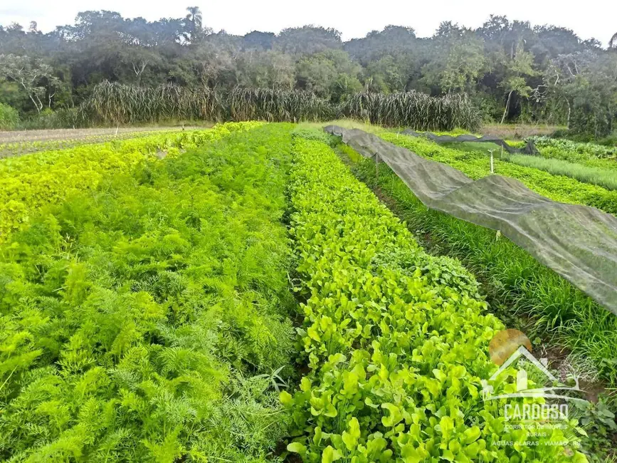 Foto 2 de Sítio / Rancho à venda, 100000m2 em Estância Grande, Viamao - RS