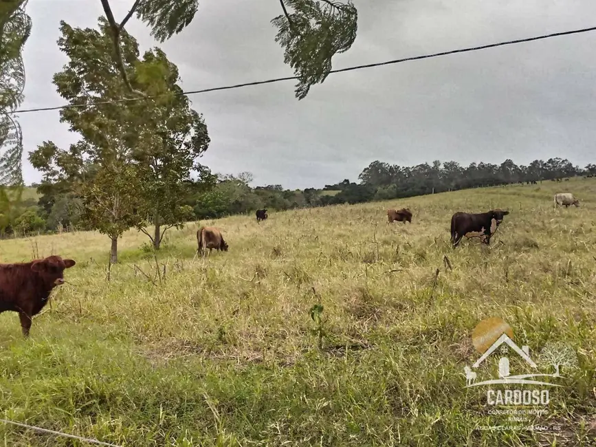 Sítio / Rancho à venda, 100000m2 em Estância Grande, Viamao - RS - imagem 9 Foto 9 de Sítio / Rancho à venda, 100000m2 em Estância Grande, Viamao - RS