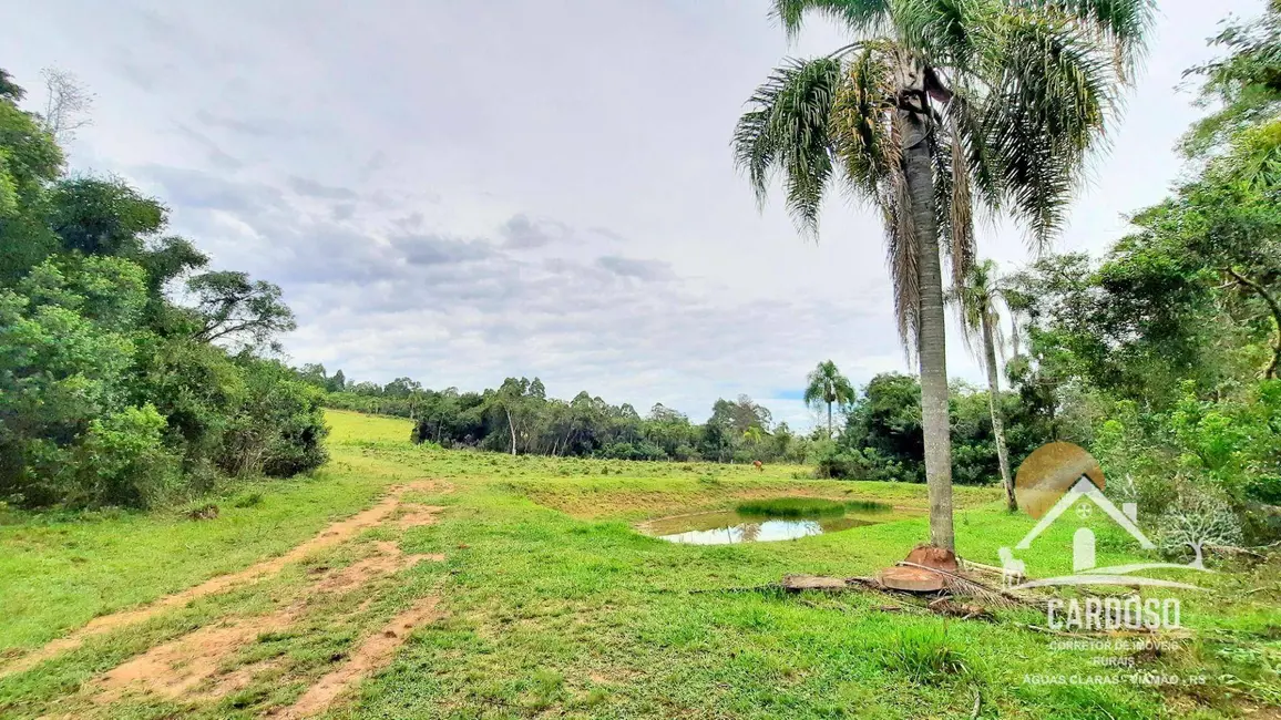 Sítio / Rancho à venda, 270000m2 em Lami, Porto Alegre - RS - imagem 5 Foto 5 de Sítio / Rancho à venda, 270000m2 em Lami, Porto Alegre - RS