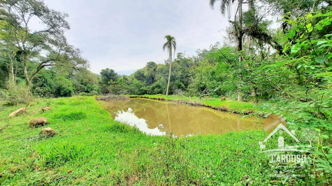 Sítio / Rancho à venda, 270000m2 em Lami, Porto Alegre - RS - imagem 6 Foto 6 de Sítio / Rancho à venda, 270000m2 em Lami, Porto Alegre - RS