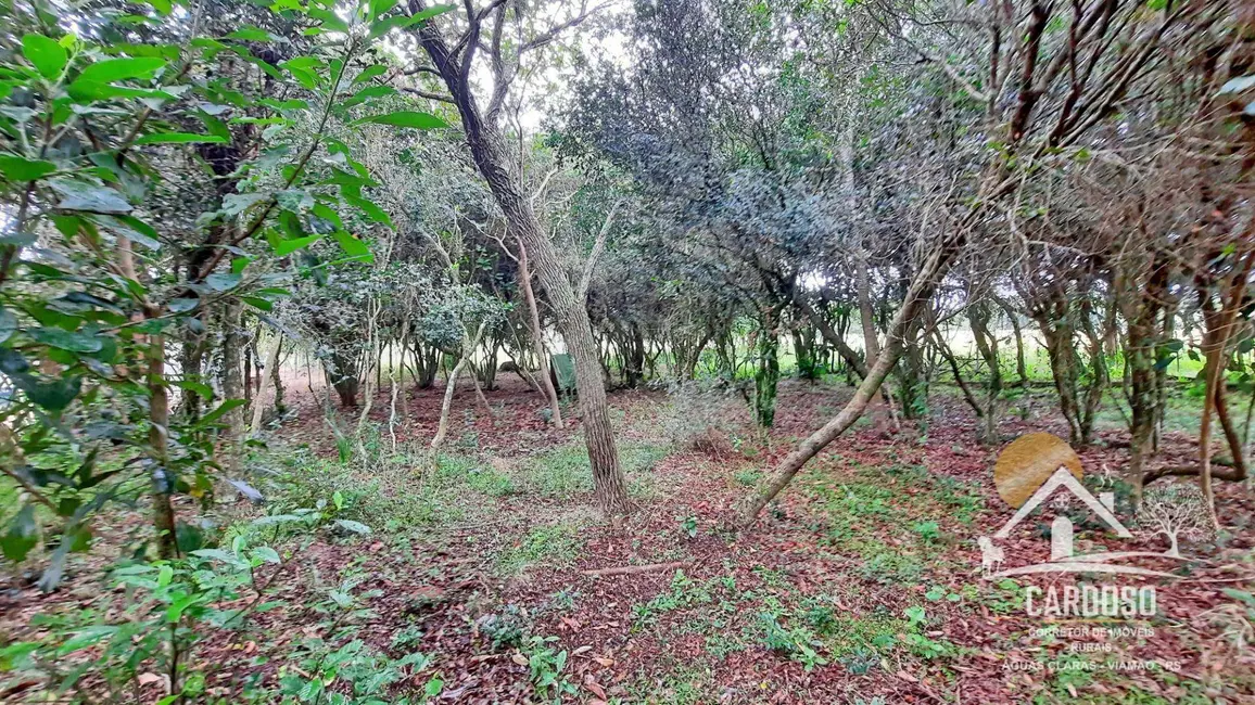 Foto 4 de Sítio / Rancho com 2 quartos à venda, 20000m2 em Viamao - RS